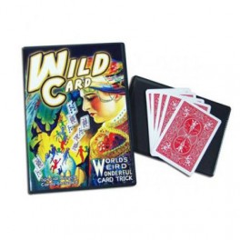 DVD Wild Card avec cartes Bicycle