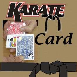 KARATE CARD - La carte karaté