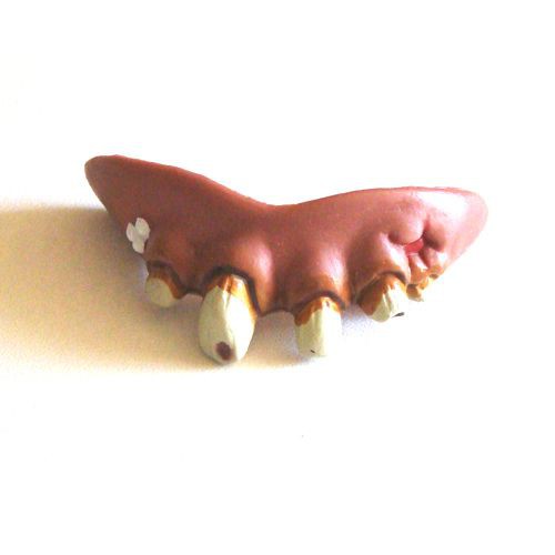 Dents Pourries De Chez Pourri Hill Billy Teeth Le Sourire D Enfer Le Dentier A Avoir Toujours Sur Soi Ideal Pour La Presen Dents Pourries De Chez Pourri Hill Billy Teeth Le Sourire D Enfer Le Dentier A Avoir Toujours Sur Soi Ideal Pour La Presen