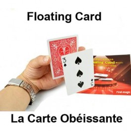 Carte Obéissante en Bicycle à dos Rouge