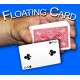 The Obedient Card- Bicycle Red Back