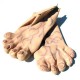 Monster Feet