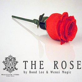 The Rose - Bond Lee & Wenzi Magic