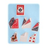 Special Assortment 52 Gaffed Bicycle Cards