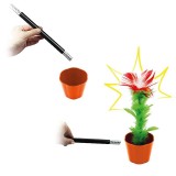 Abracadabra La Fleur Instantanée